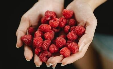 Importance of Healthy Diet essay