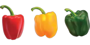 Picture Comprehension for Class 3 (Peppers)