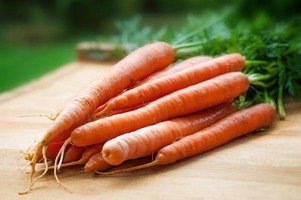 Picture Comprehension for Class 3 (Carrots)